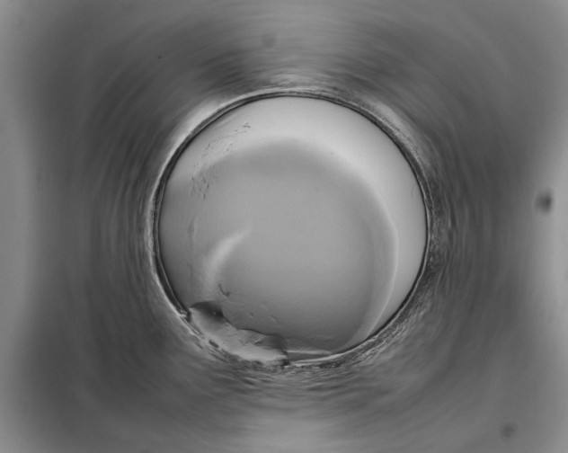 X0000098021291200804181153