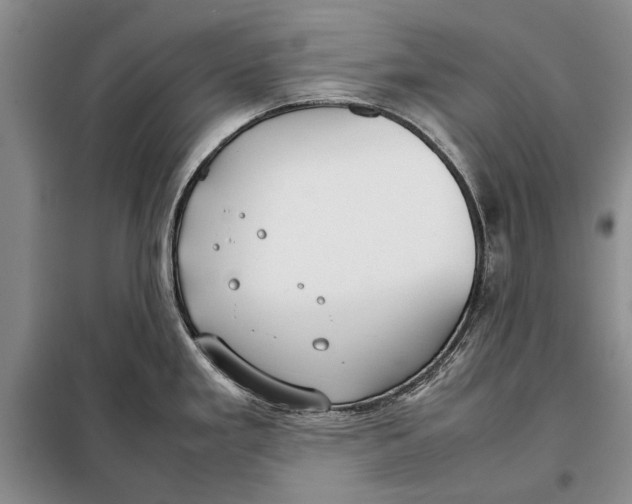 X0000098021293200804181153