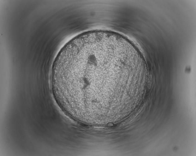 X0000098021295200804181153