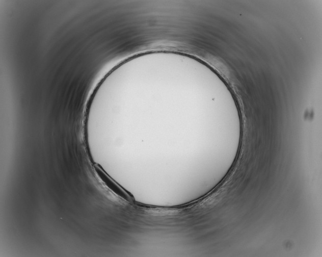 X0000098021296200804181153