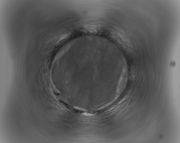 X0000098021297200804181152