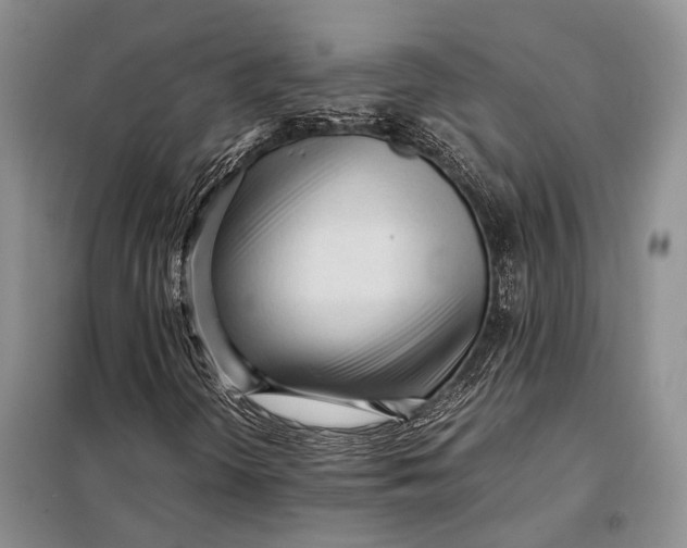 X0000098021298200804181152