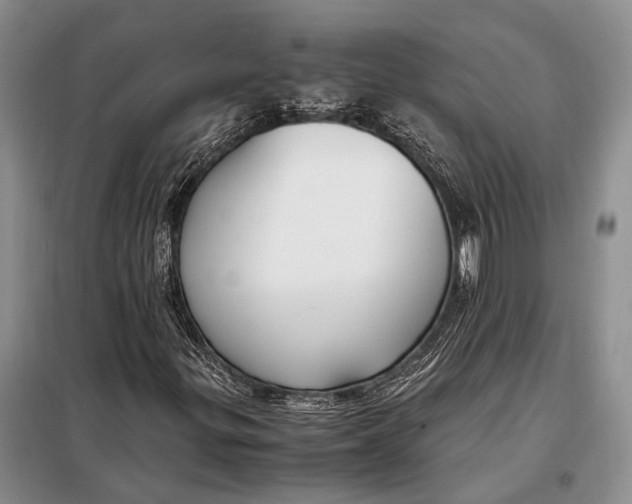 X0000098021299200804181152