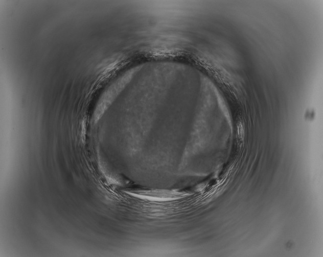 X0000098021300200804181152