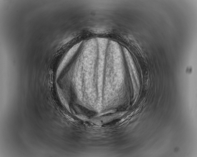 X0000098021301200804181152