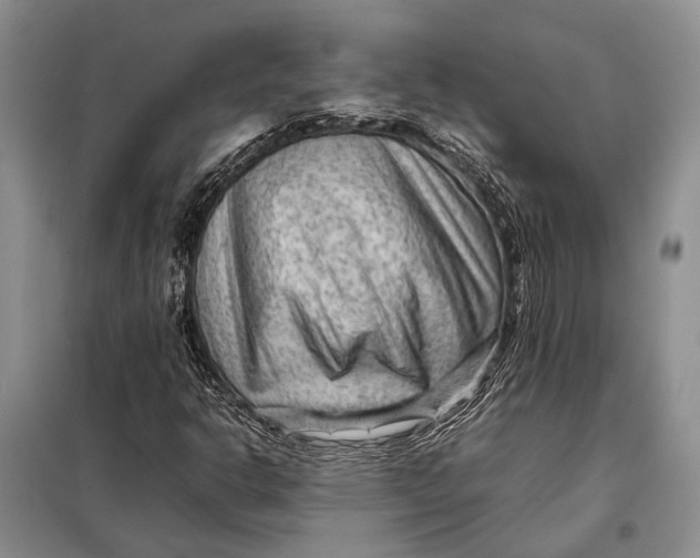 X0000098021302200804181152