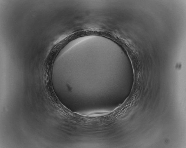 X0000098021303200804181152