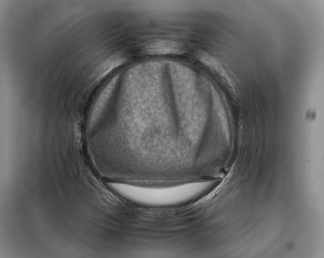 X0000098021305200804181152