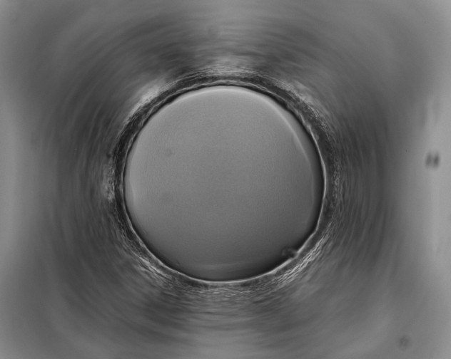 X0000098021306200804181152