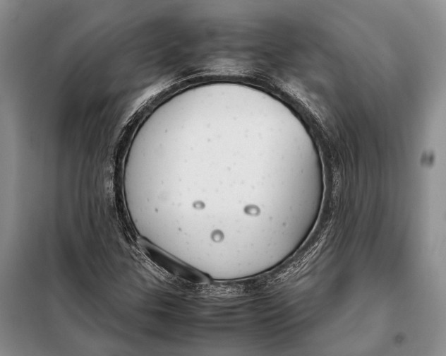 X0000098021307200804181152