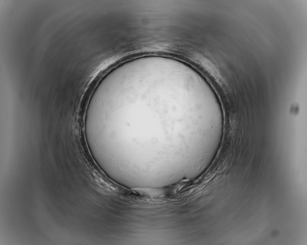 X0000098021308200804181152