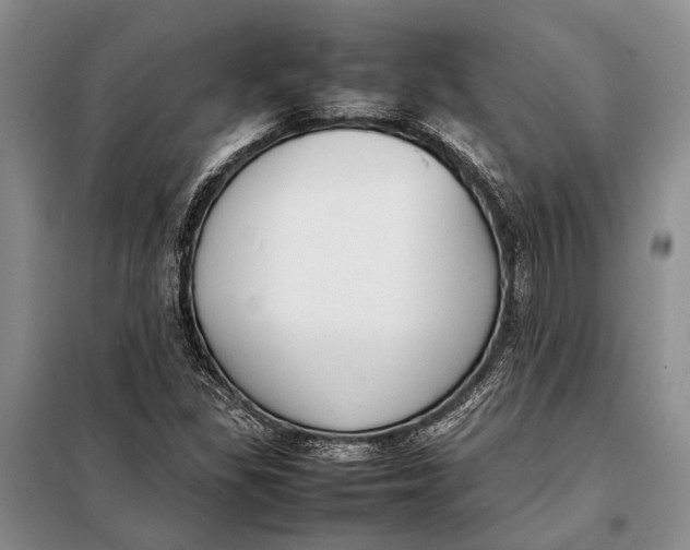 X0000098021309200804181152