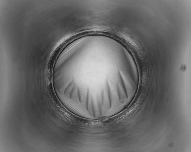 X0000098021310200804181152