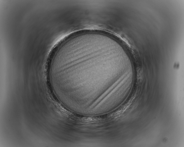 X0000098021311200804181152