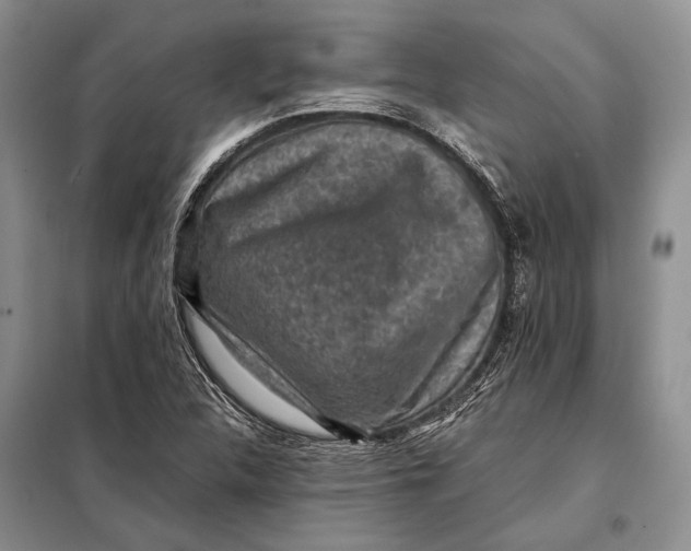 X0000098021312200804181152