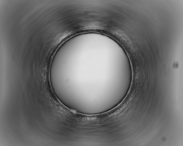 X0000098021313200804181152