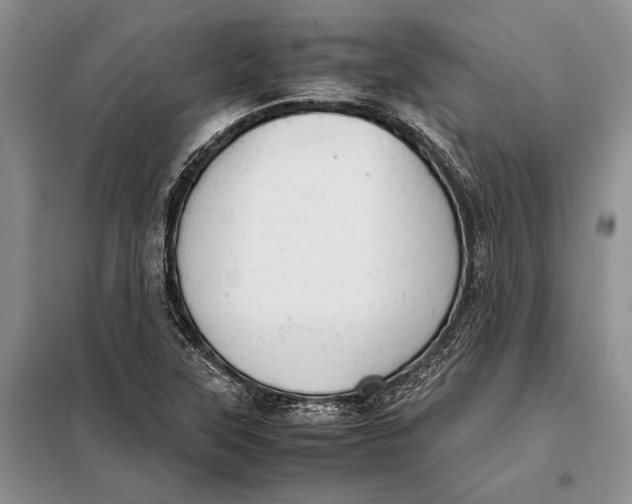 X0000098021315200804181152