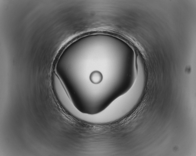 X0000098021316200804181152