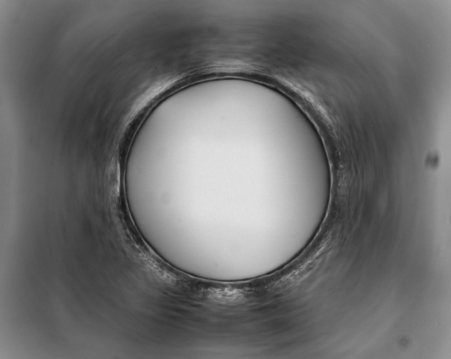 X0000098021317200804181152