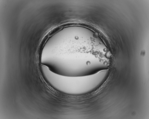 X0000098021318200804181152