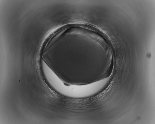 X0000098021319200804181152