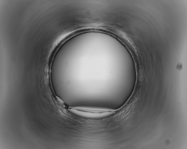 X0000098021320200804181152