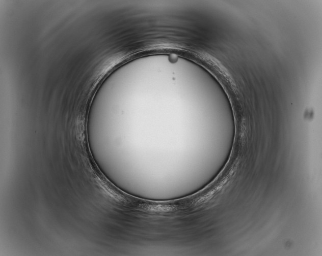 X0000098021321200804181152