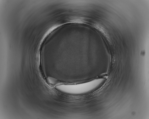 X0000098021323200804181152