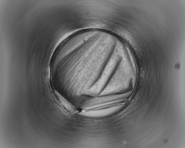 X0000098021324200804181152