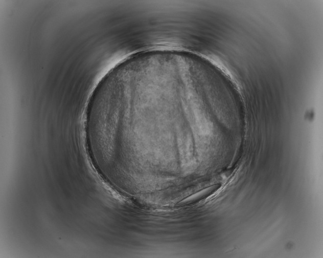 X0000098021325200804181152