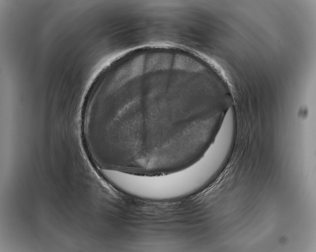 X0000098021327200804181152