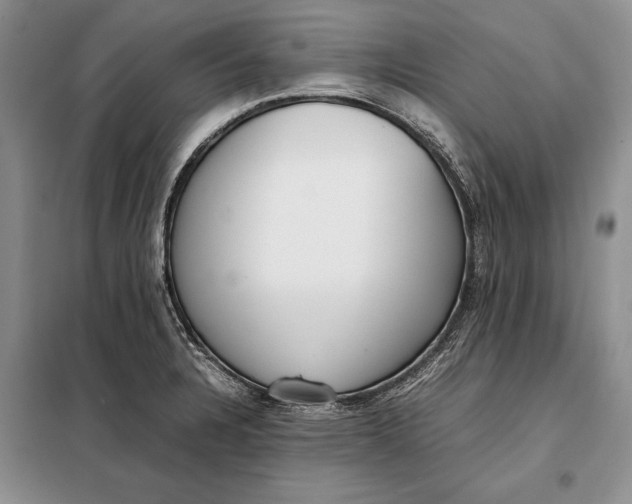 X0000098021328200804181152