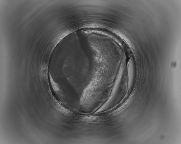 X0000098021329200804181152