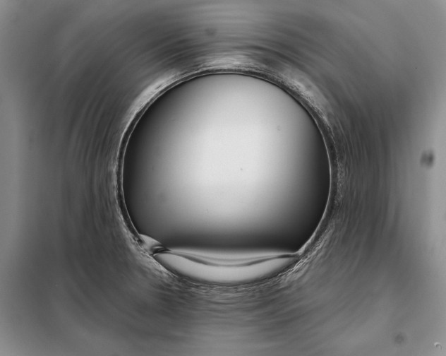 X0000098021330200804181152