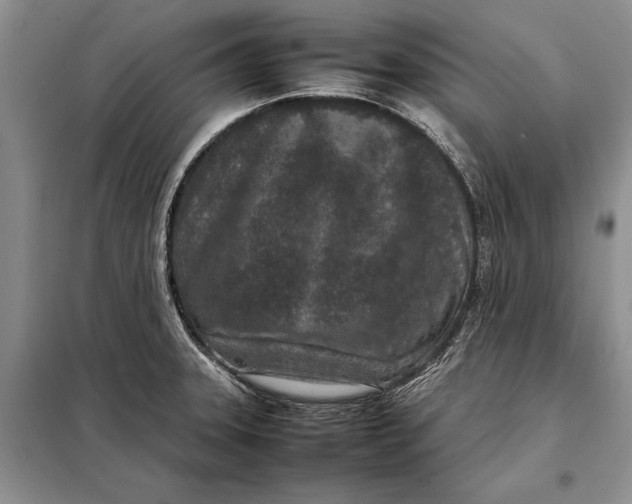 X0000098021331200804181152