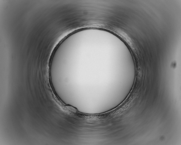 X0000098021332200804181152