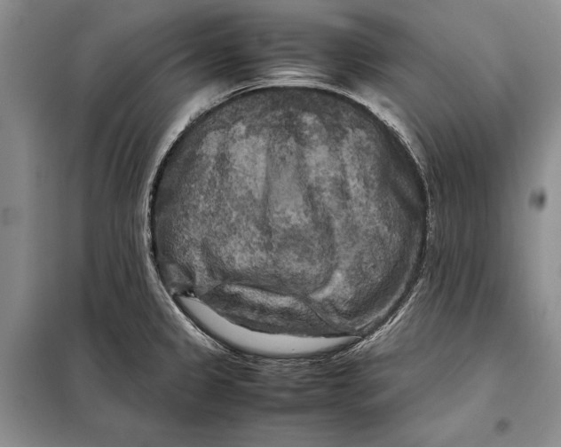 X0000098021333200804181152