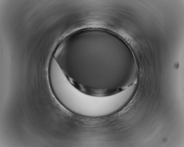 X0000098021334200804181153