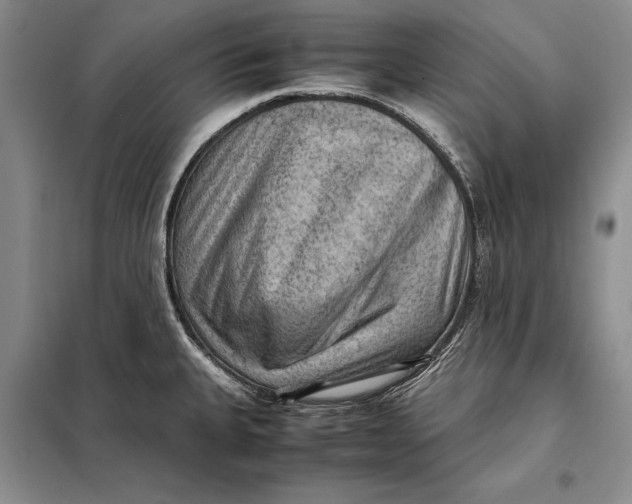 X0000098021335200804181153