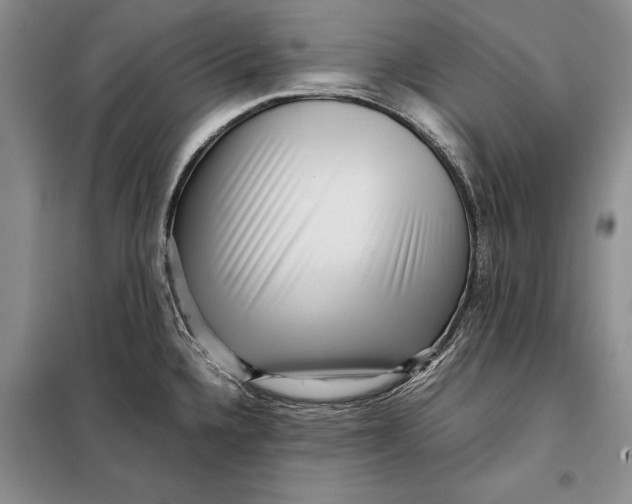 X0000098021336200804181153