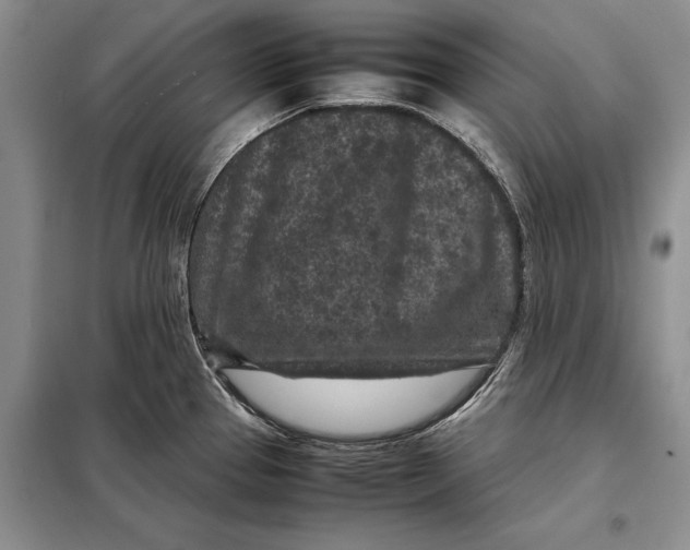 X0000098021337200804181153