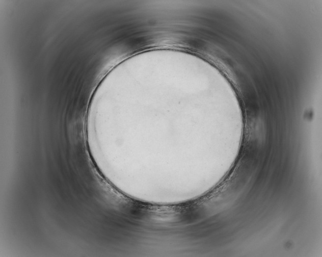 X0000098021338200804181153