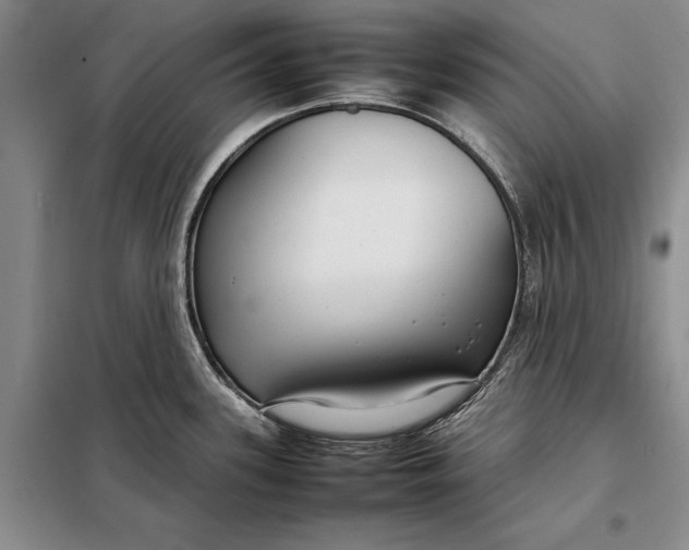 X0000098021339200804181153