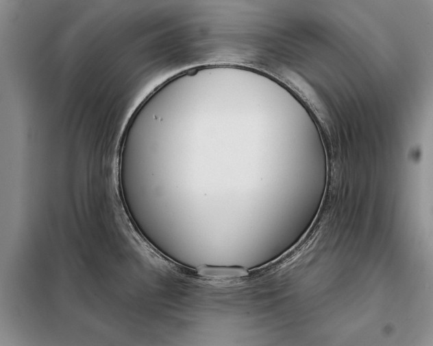 X0000098021340200804181153