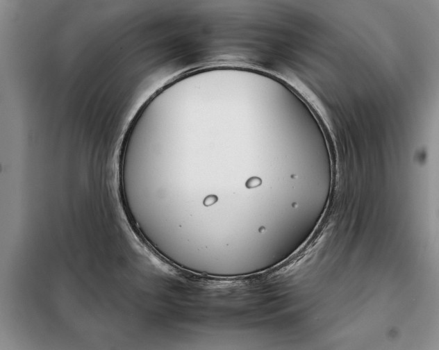 X0000098021341200804181153