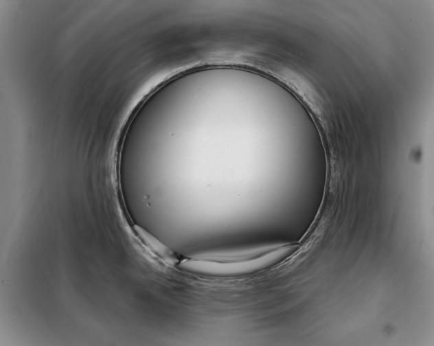 X0000098021342200804181153