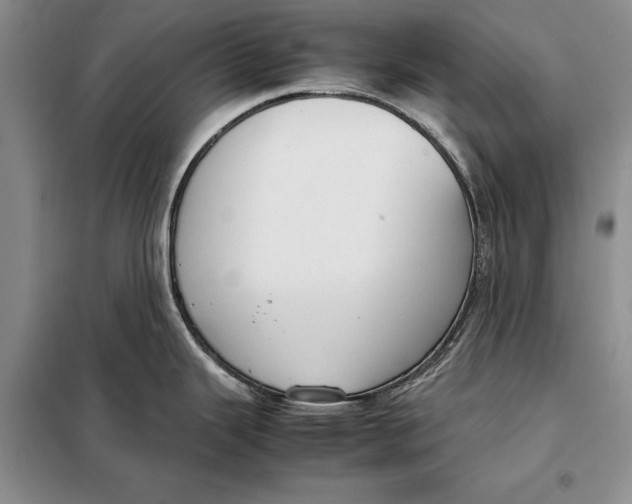 X0000098021343200804181153