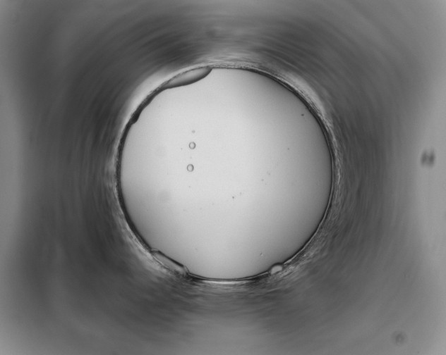 X0000098021344200804181153