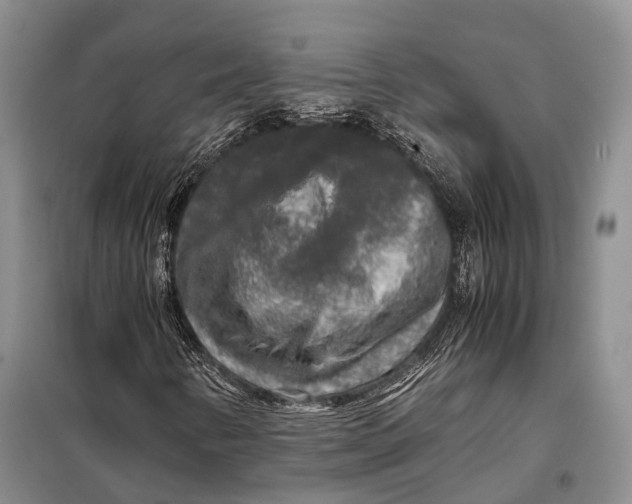 X0000098021346200804181152