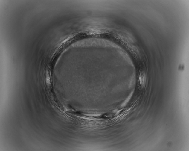 X0000098021348200804181152